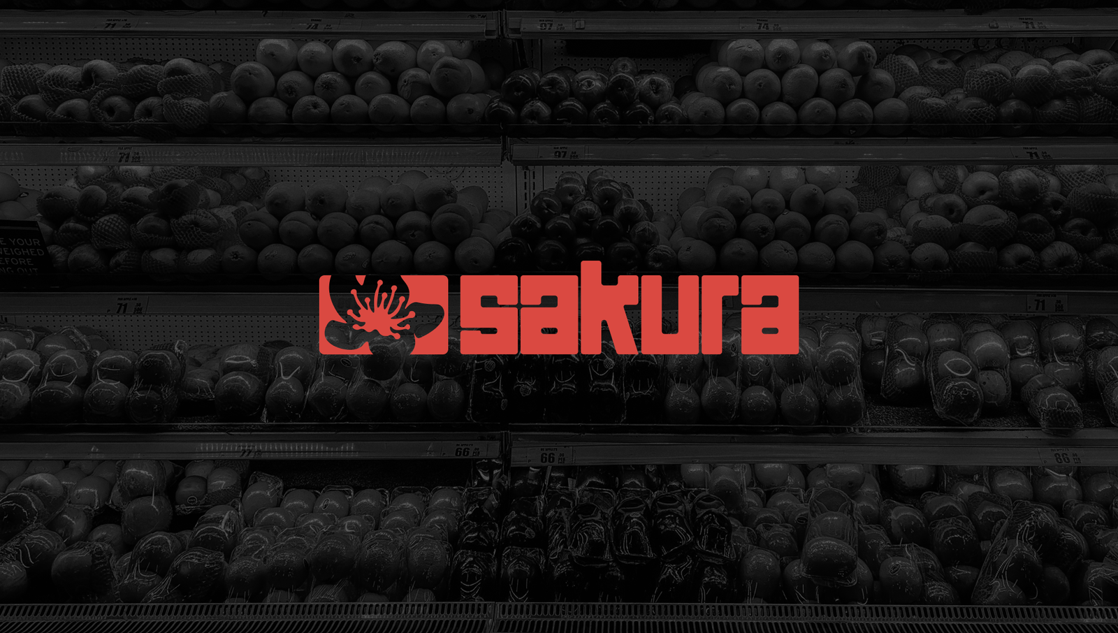 Sakura brand asset 10